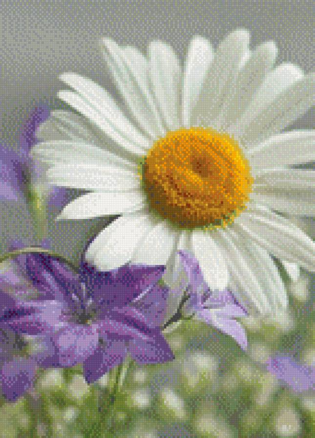 ромашка - цветы - предпросмотр