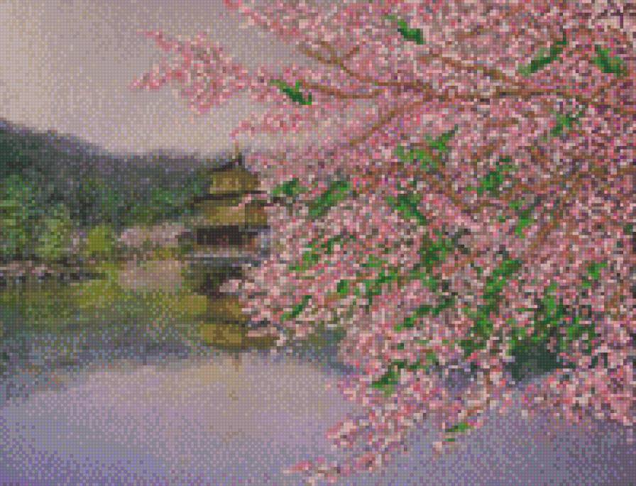 Сакура - розовый, япония, сакура, вода, весна, восток, озеро - предпросмотр