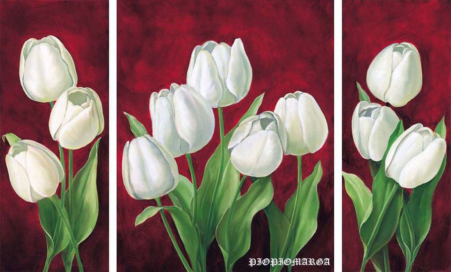 тюлпаны - цветы - оригинал