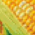 Предпросмотр схемы вышивки «кукуруза» (№667652)