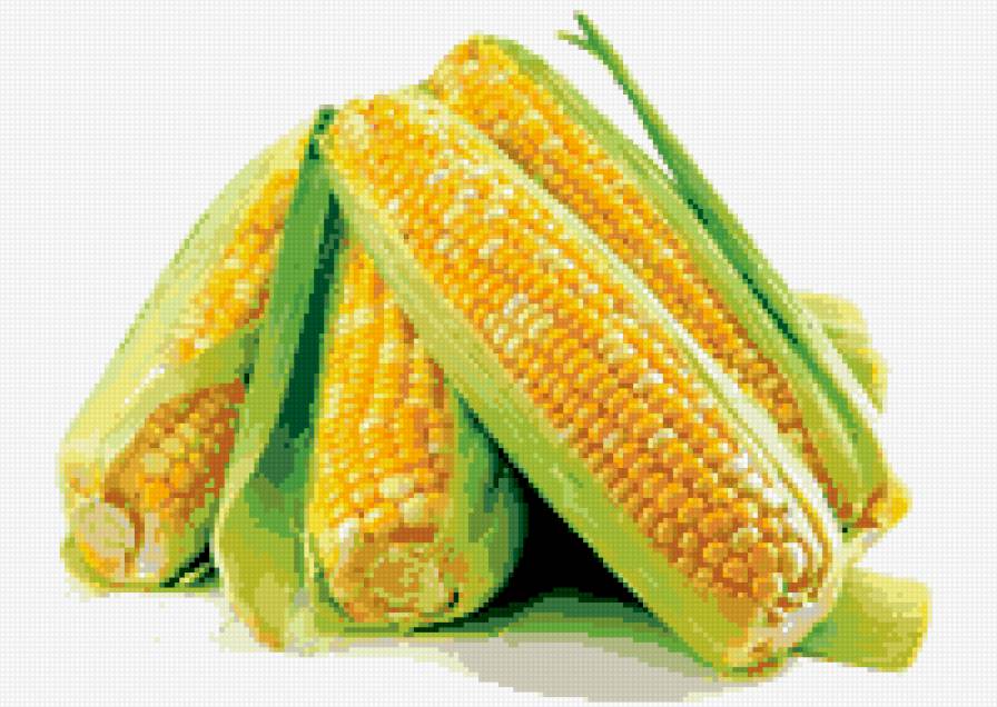 кукуруза - предпросмотр