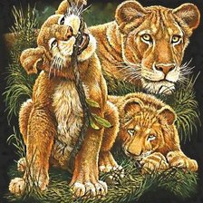 Схема вышивки «2256»