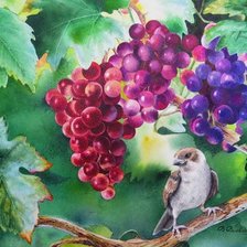 Схема вышивки «№667830»