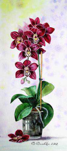 №667865 - оригинал