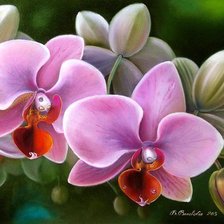 Оригинал схемы вышивки «№667886»