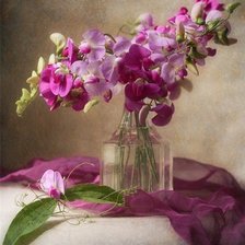 Схема вышивки «№667889»