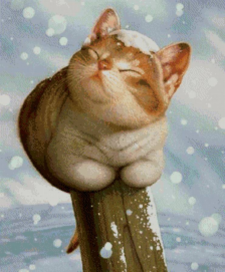 Кошка - зима, природа, кошка, снег, снежинки - предпросмотр
