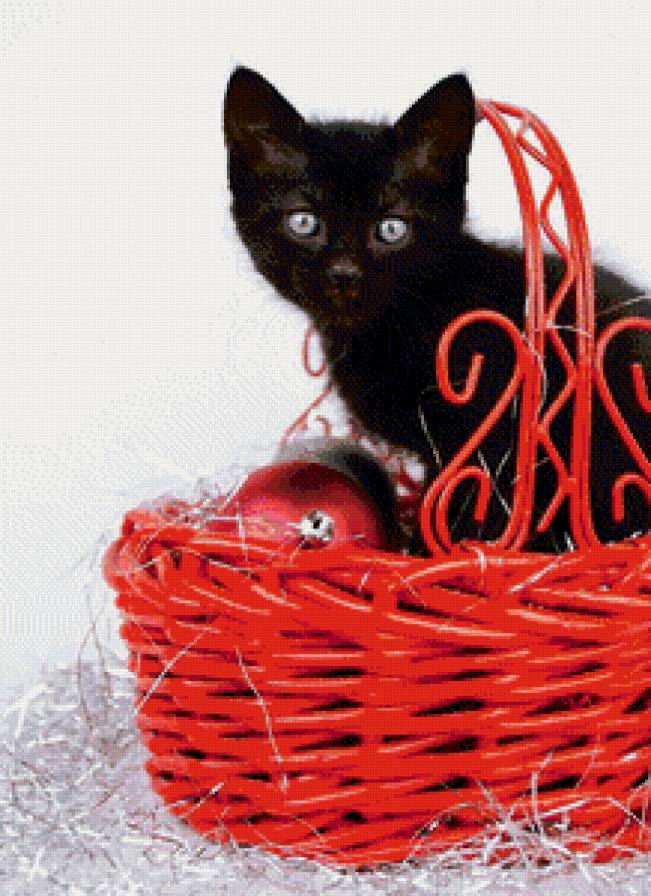 Котенок в корзинке - подарок, дом, котенок, корзинка - предпросмотр