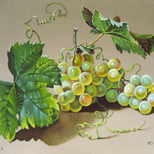 Схема вышивки «Гроздь винограда»