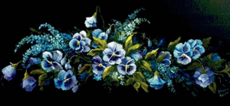 Анютины глазки - цветы, на черном, анютины нлазки - предпросмотр