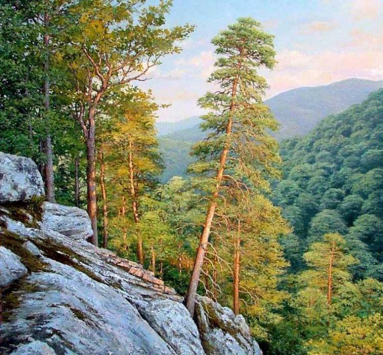 Пшадские скалы - природа, сосны, горы - оригинал