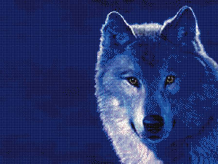 волк - животные, волк - предпросмотр