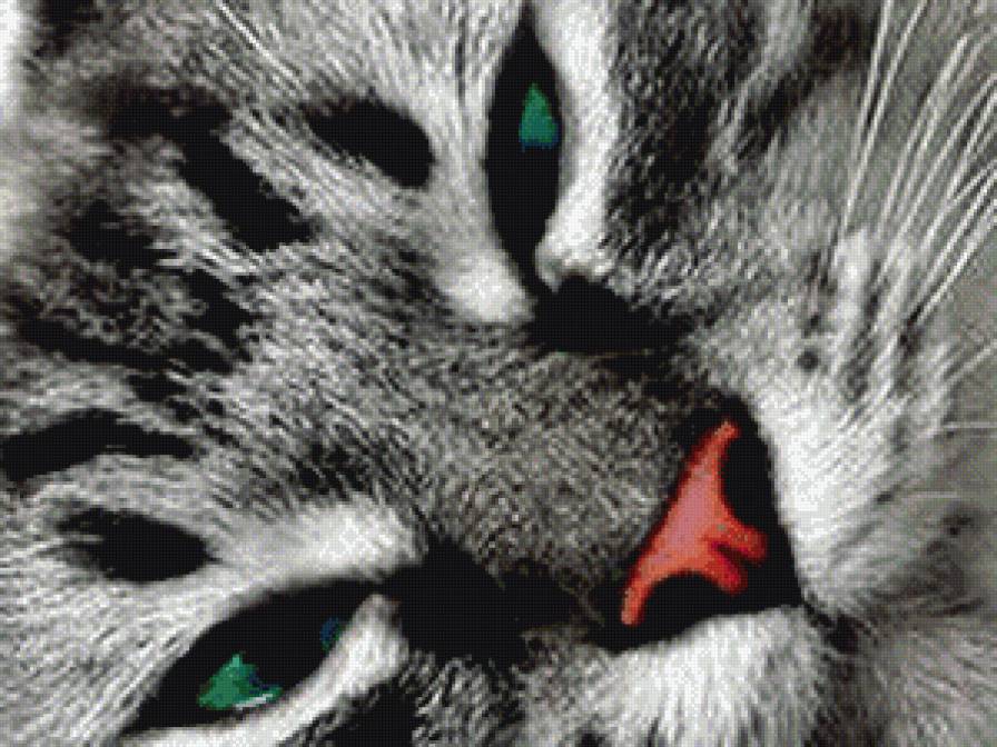 котик - животные, кошки - предпросмотр