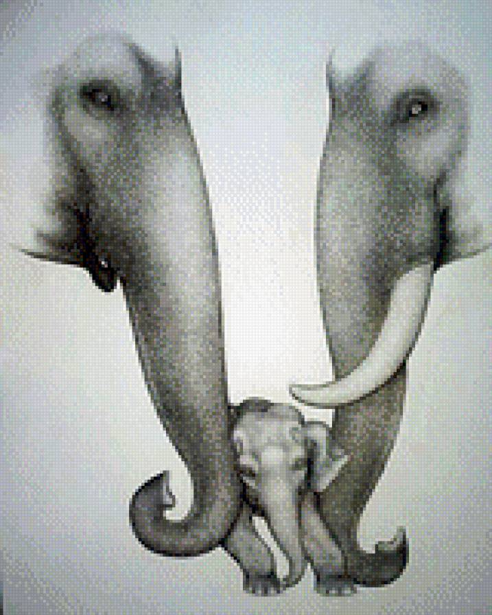 слоны - предпросмотр