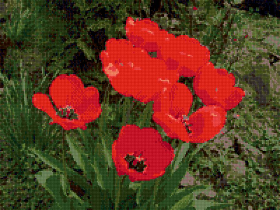 №668328 - предпросмотр