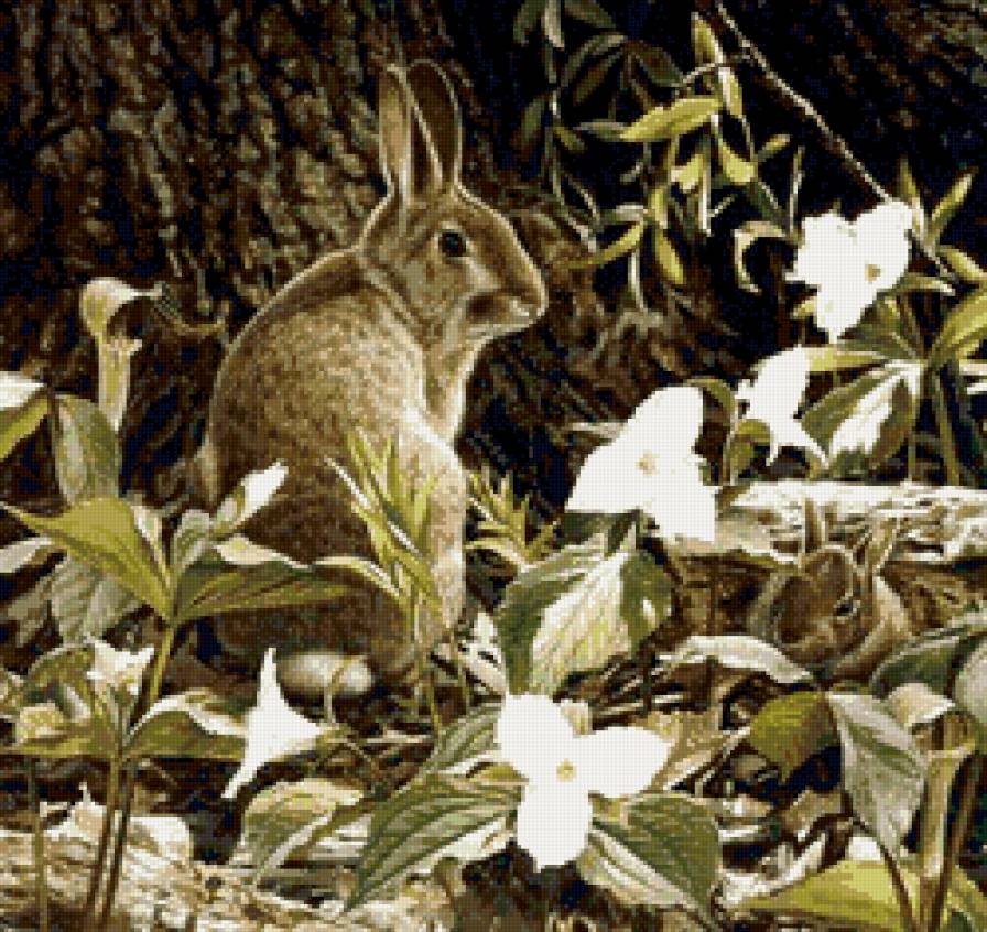 зайки - пейзаж, цветы, животные, пано, природа - предпросмотр