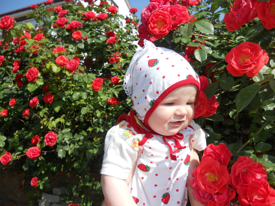 ро - оригинал