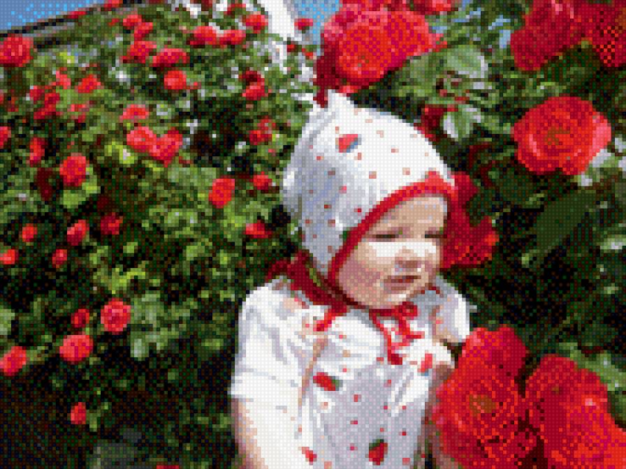 ро - предпросмотр