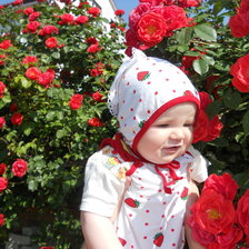 Схема вышивки «ро»