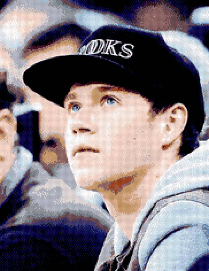 Найл - one direction - предпросмотр