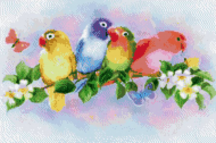 яркие попугаи - предпросмотр