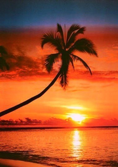 Закат - картина, африка, подушка, пальмы - оригинал