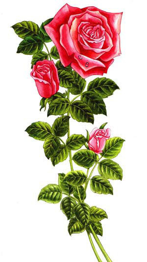 Серия "Цветы": Красные розы - оригинал