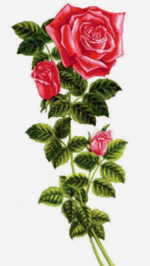 Серия "Цветы": Красные розы - предпросмотр
