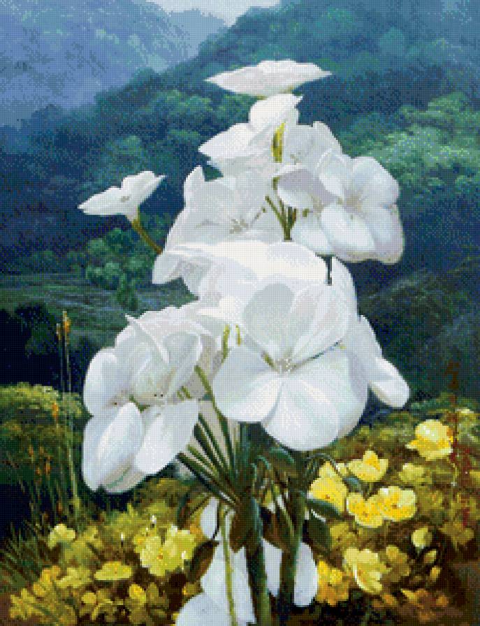 Цветы - пейзаж - предпросмотр