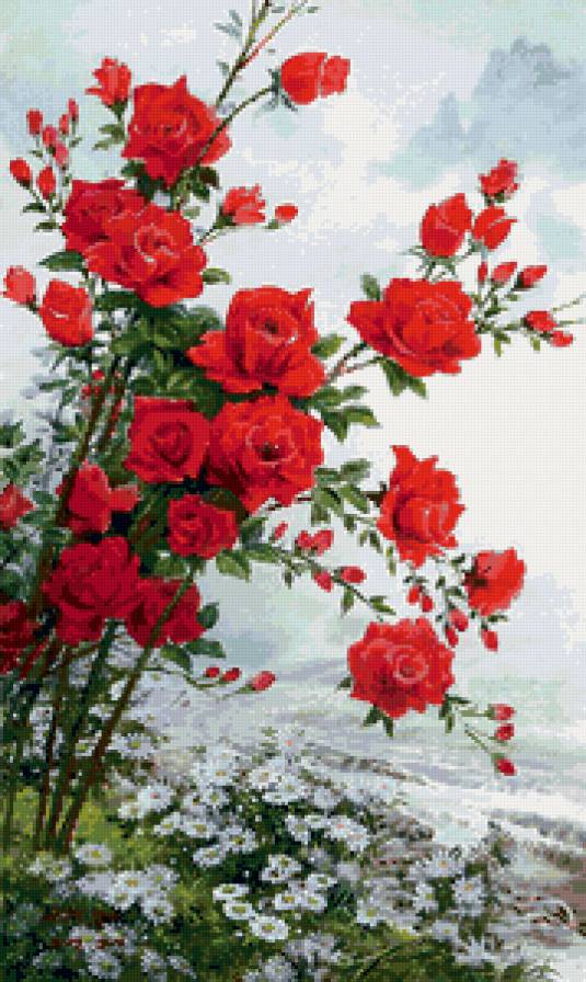 розы - пейзаж - предпросмотр