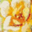 Предпросмотр схемы вышивки «Серия "Цветы": Цветочная композиция» (№669041)