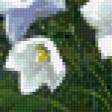 Предпросмотр схемы вышивки «Цветы» (№669059)