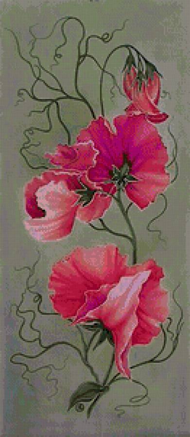 Серия "Цветы" - предпросмотр