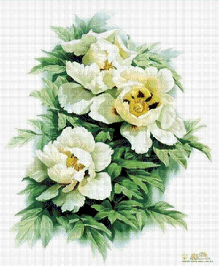 Серия "Цветы": Пионы-2 - предпросмотр