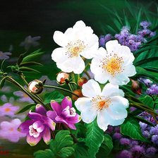 Схема вышивки «Цветы»