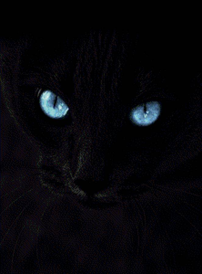 котик - предпросмотр