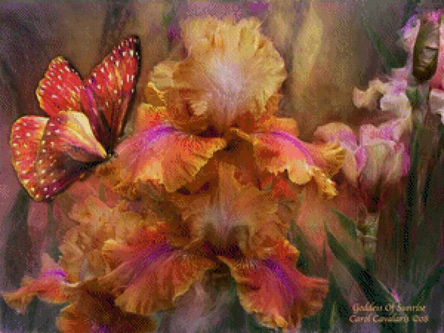 №669458 - предпросмотр