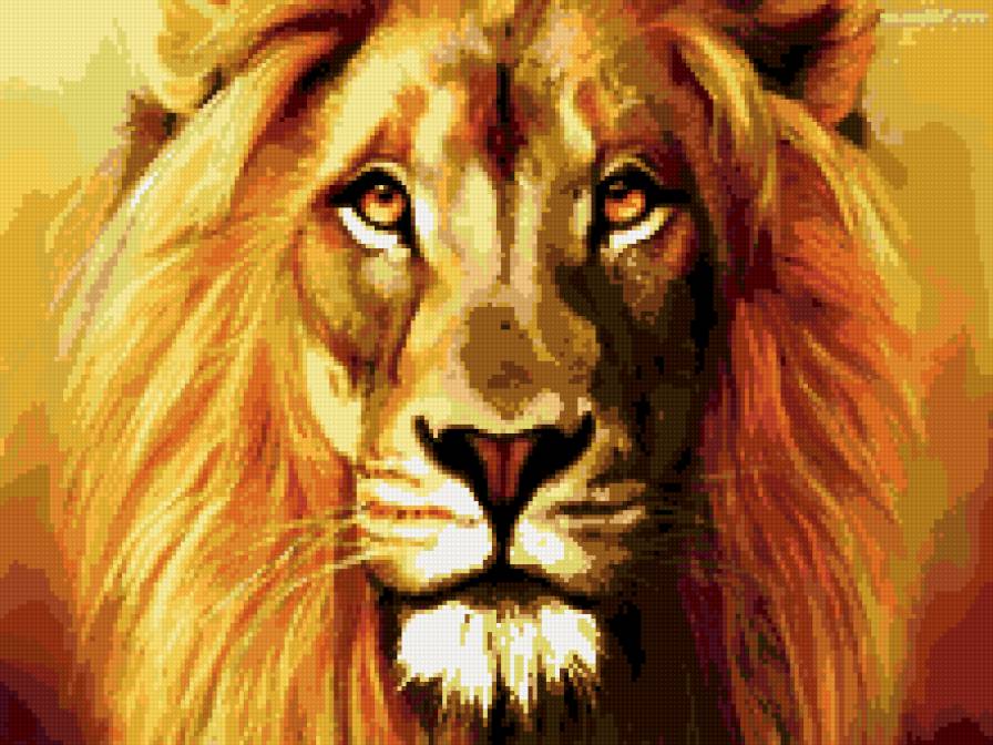 пано лев - животные, пано, африка, природа - предпросмотр