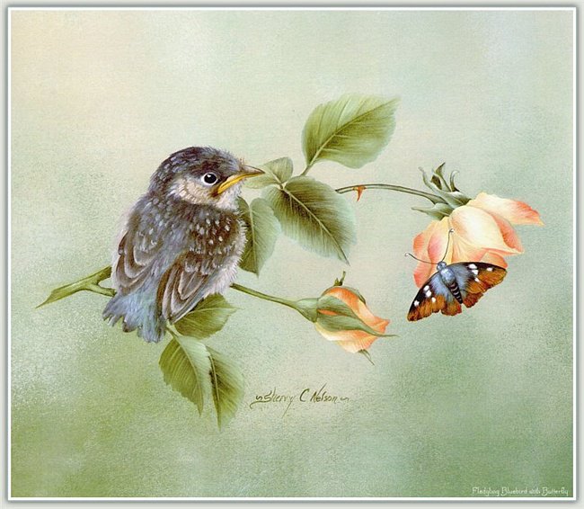 №669460 - оригинал