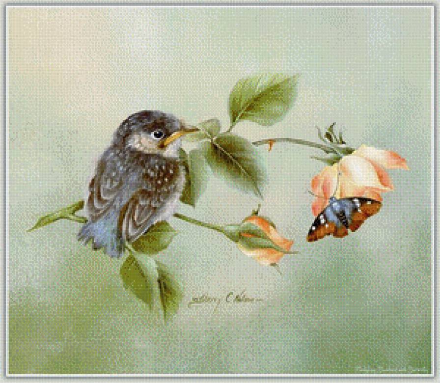 №669460 - предпросмотр