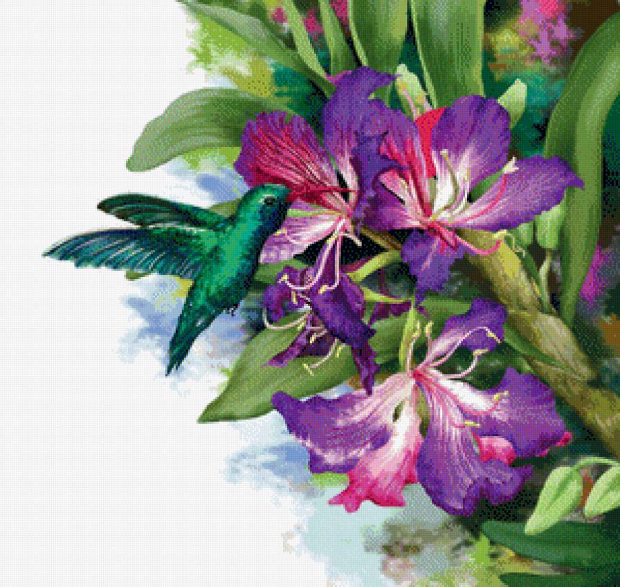 №669466 - предпросмотр