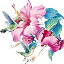 Схема вышивки «Колибри»