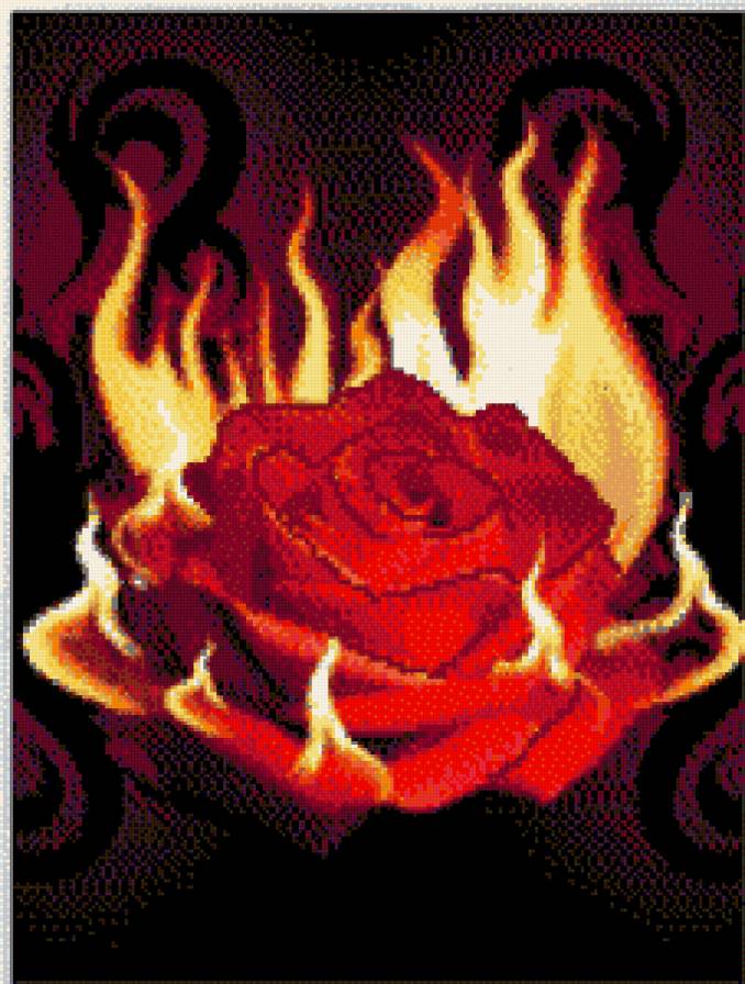 №669587 - предпросмотр