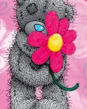 Схема вышивки «h»