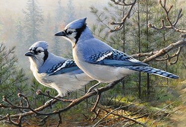 №669605 - оригинал