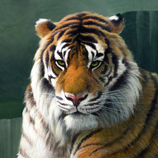 Схема вышивки «Красавец тигр»