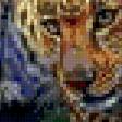 Предпросмотр схемы вышивки «леопард9» (№669714)