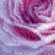 Предпросмотр схемы вышивки «Розы» (№669750)