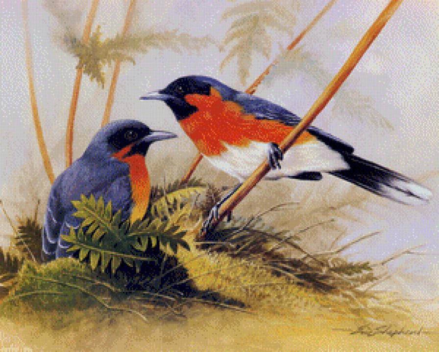 №669797 - предпросмотр