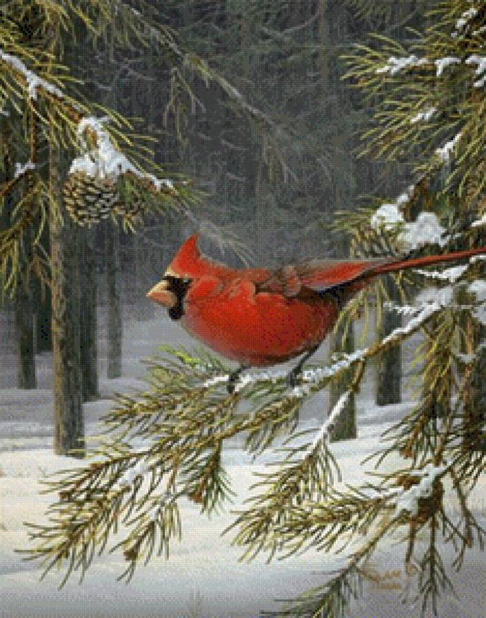 №669808 - предпросмотр